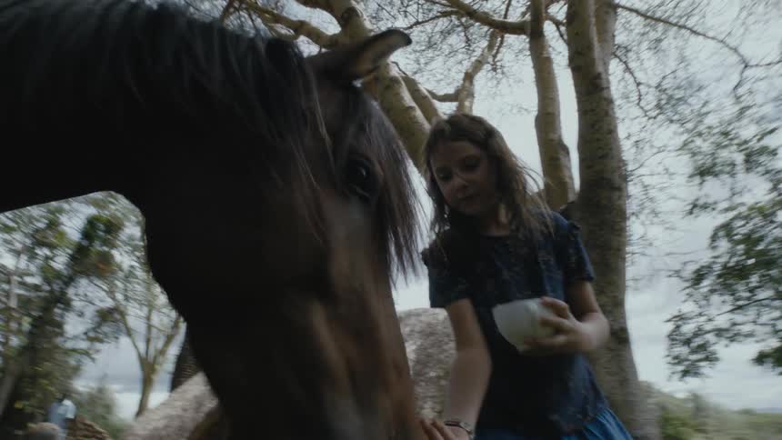 Girl holding a cup and feeding a horse while her brother is watching it standing at her side