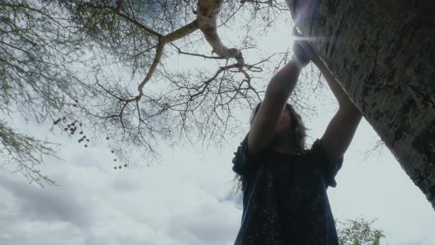 A girl leans against a tree and counts while playing hide and seek in a park