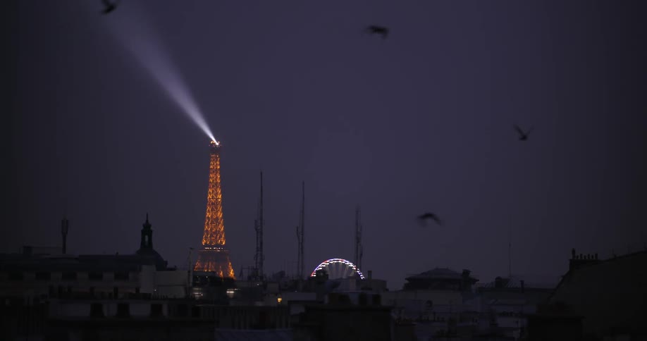 Eiffel Tower at night