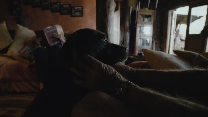 A man pets a dog in a cabin while other read