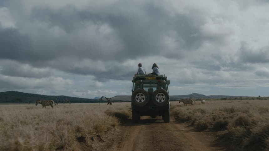 Two kids sitting on top of a jeep driving down a path at a safari with some zebras walking by