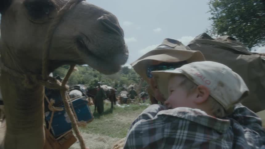 A young boy kissing a camel while being held by his dad