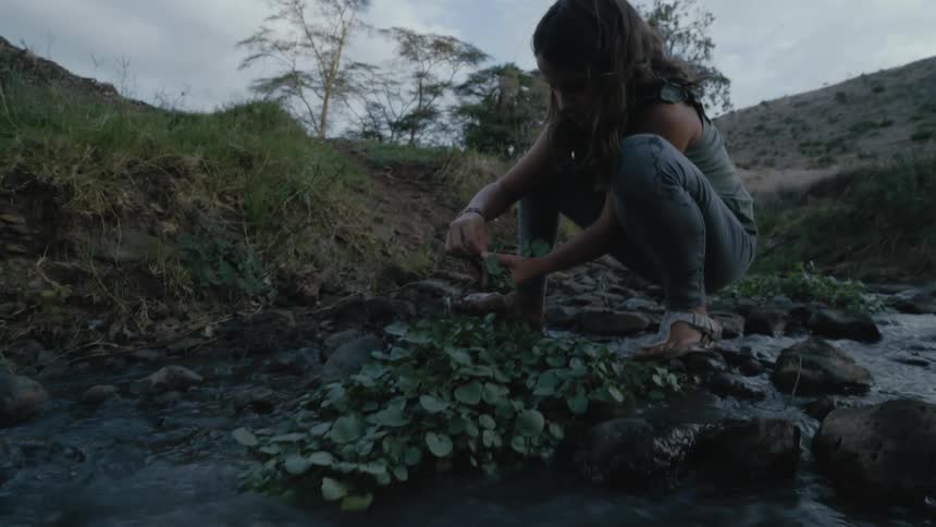 Little girl crouching on the bank of a stream plucking the leaves from a plant