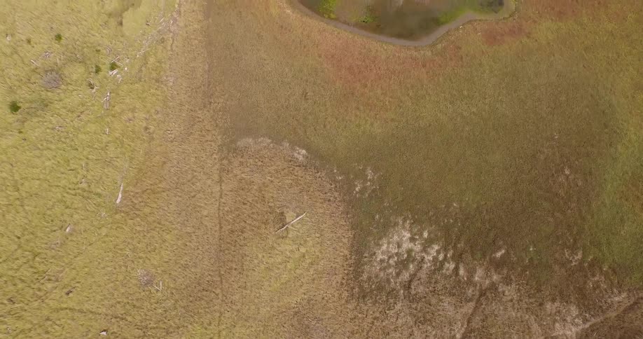 Coastal Aerials