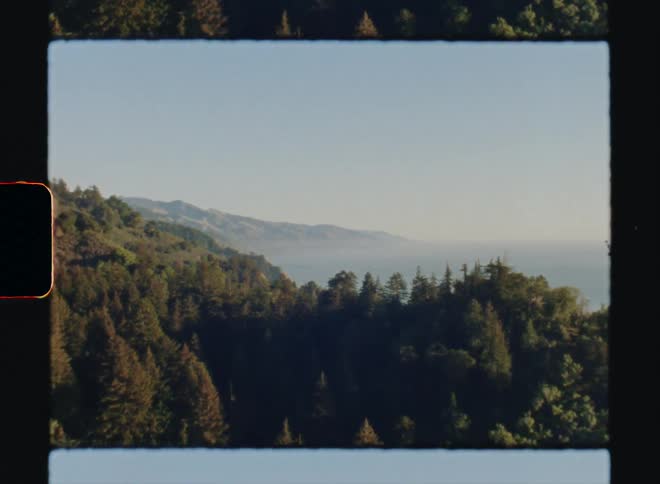 A dense forest full of evergreen trees cover mountains that line a coastal area Big Sur California Super8 4k Film Scan