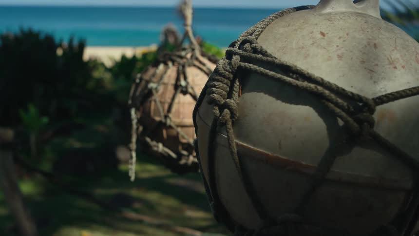 A garden near the coast of a beach is displayed