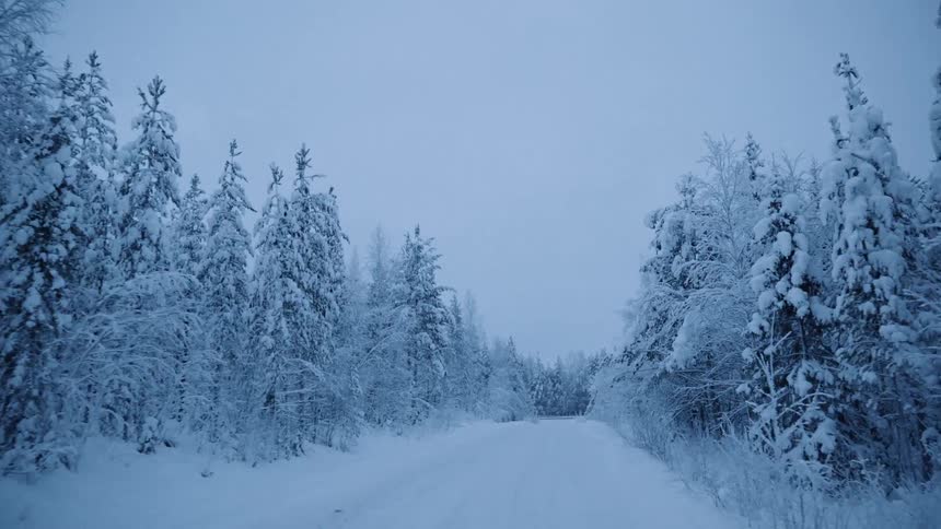 Traveling down a bumpy snow covered road lined with trees