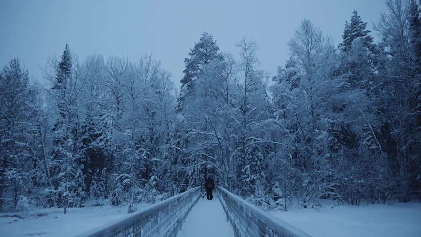 A person in winter gear crosses a snow covered pedestrian bridge heading into the trees