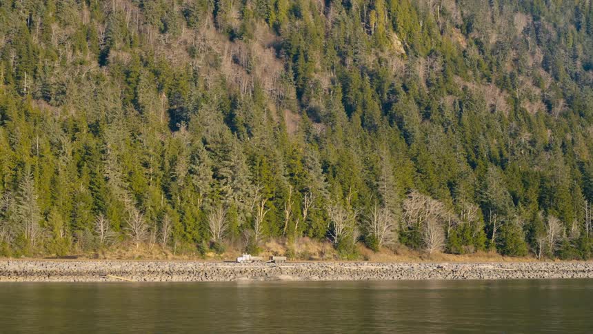 A pickup truck pulling a trailer drives between a forest and lake