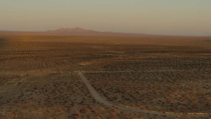 Trails run through the long field