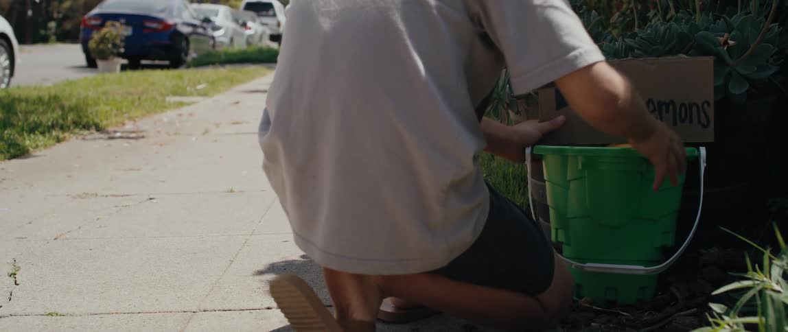 A person sits a bucket of lemons and a free lemons sign beside a sidewalk in a neighborhood during the day