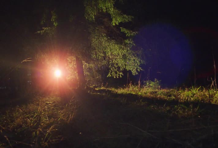A vehicle with a large light sweeps the forest trees as it searches