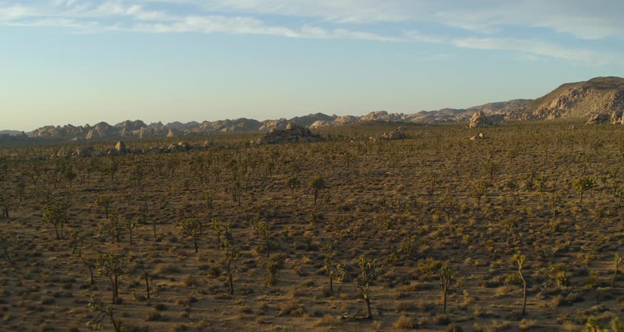 Mountains line the large field