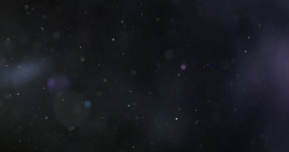 Stars twinkle in the night sky