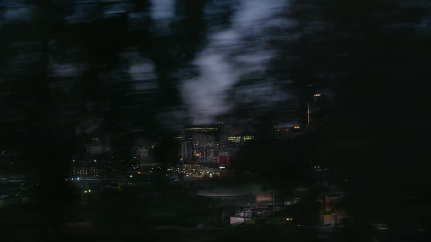 Trees overlook the buildings and skyscrapers in the city as cars travel on the streets at night