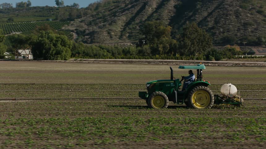A man drives a tractor on his crops