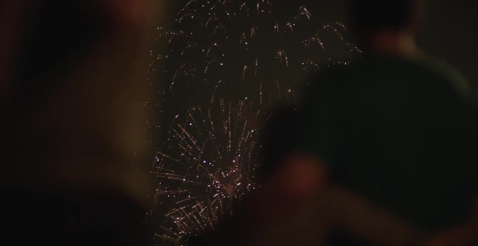 Fireworks explode in the dark night sky