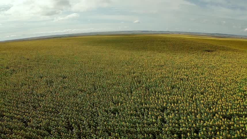 Aerial pan of a large field on a cloudy day