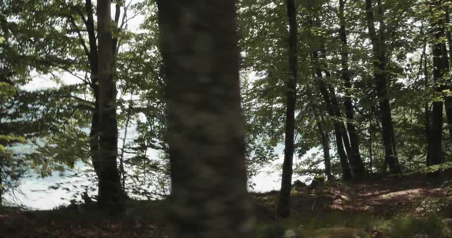 Young couple walking in the forest arguing and fighting near a lake in the mountains