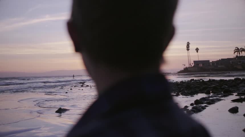 A woman looks at dog chasing birds on the beach at sunset