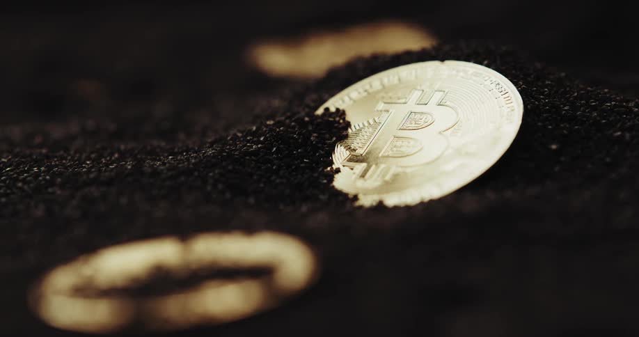 Gold coins sit in a pile of dirt