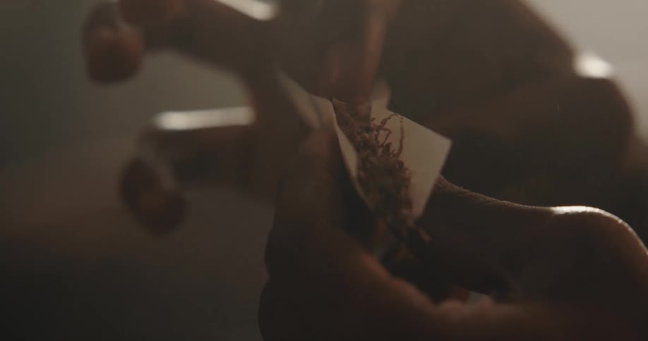 Hands of a man rolling a joint