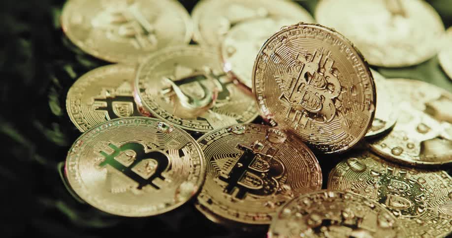 Numerous gold colored coins with an upper case b on them sit in a puddle of water