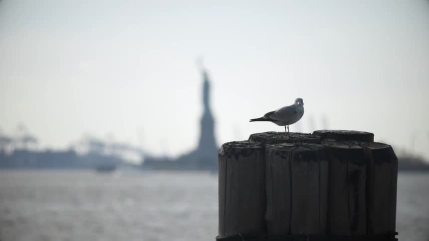 A bird on a post with the statue of liberty in the background