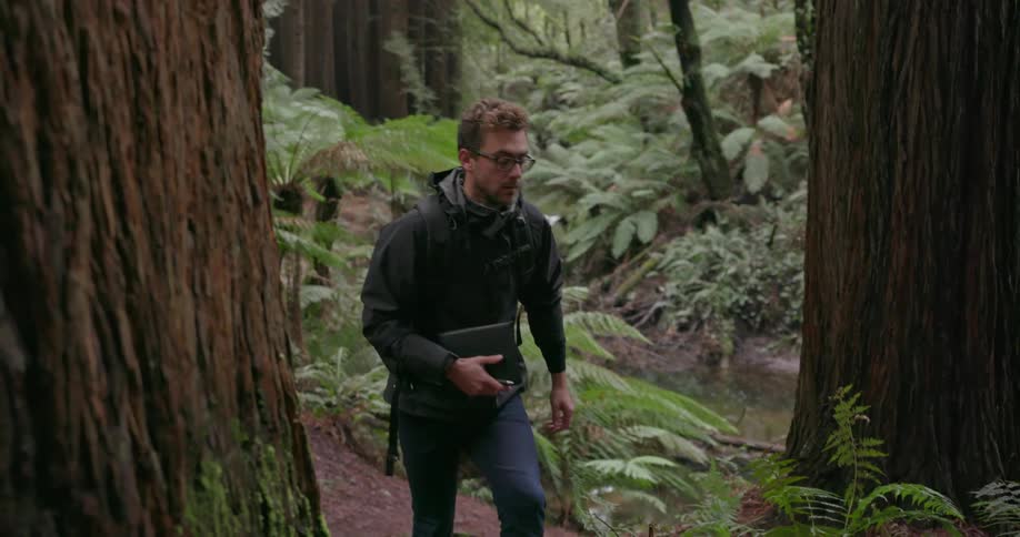 A man hikes uphill through the woods