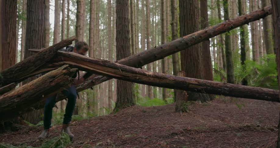 A man climbs under a fallen tree in the forest