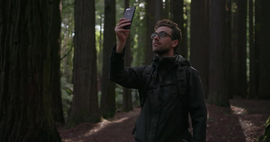 A man is checking his phone in the woods
