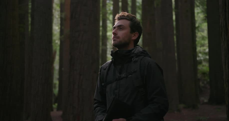 A man is looking up at trees as he is walking in the woods