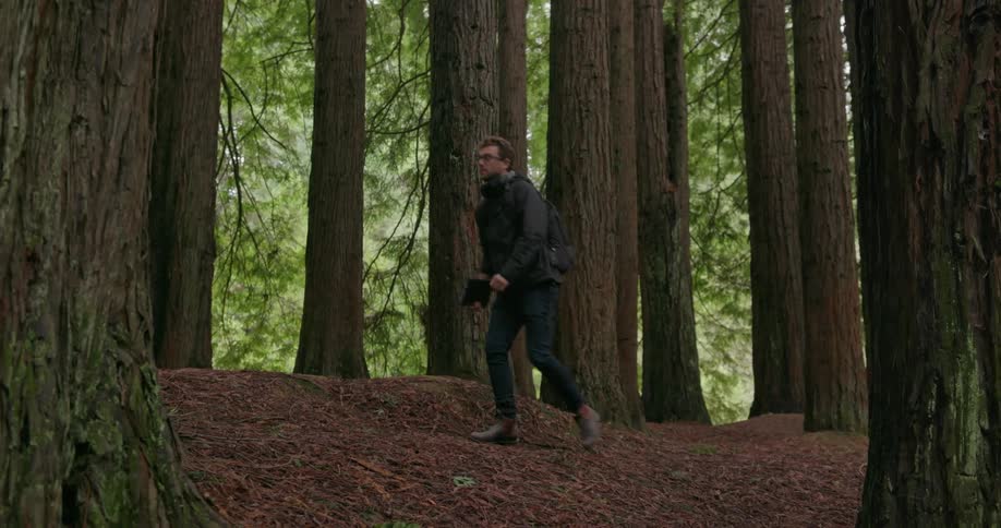 A man walks through a forest