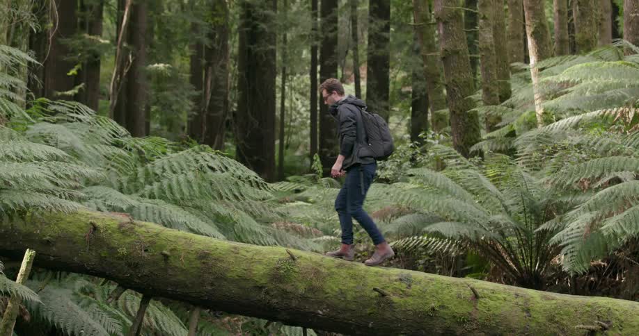 A man walks across a fallen tree
