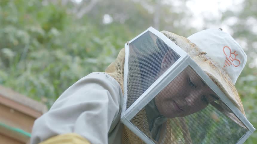 Woman wearing a beekeepers outfit tends to the bees