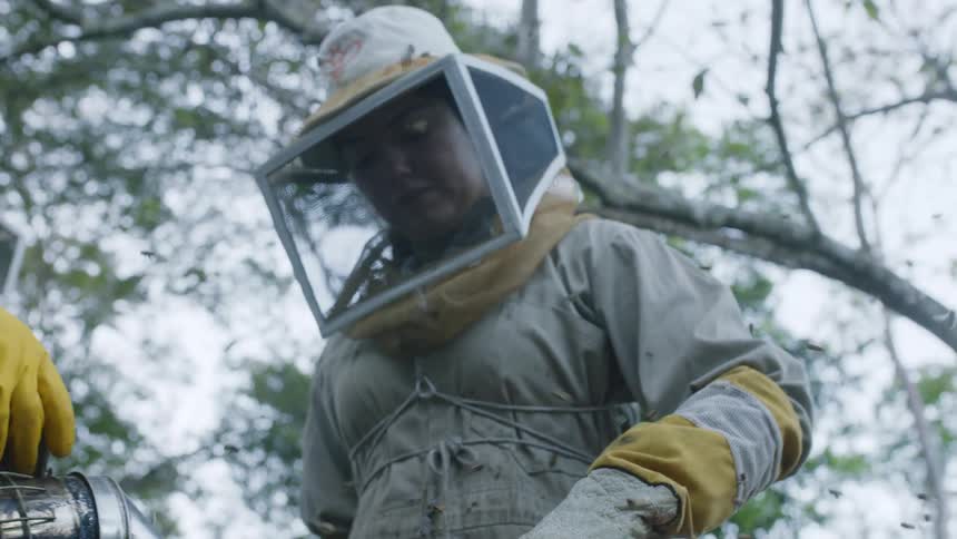 Bees swarm around beekeepers as they pull honeycomb out of a hive