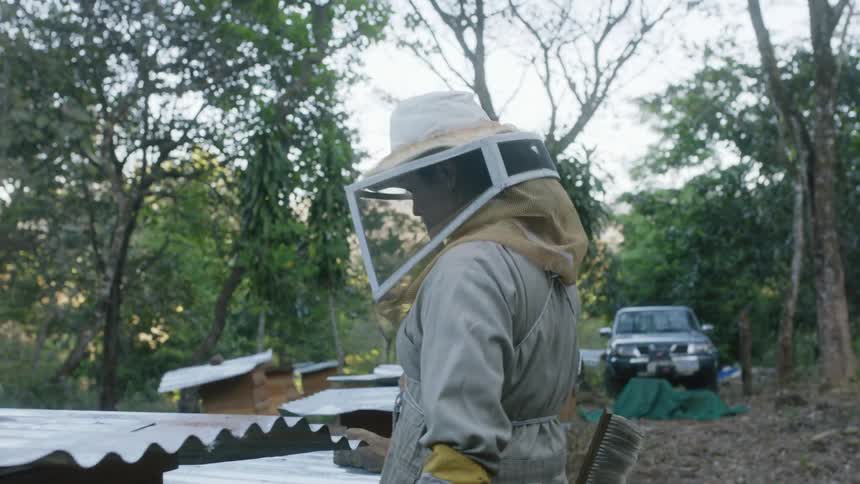 A beekeeper walks over to the apiary
