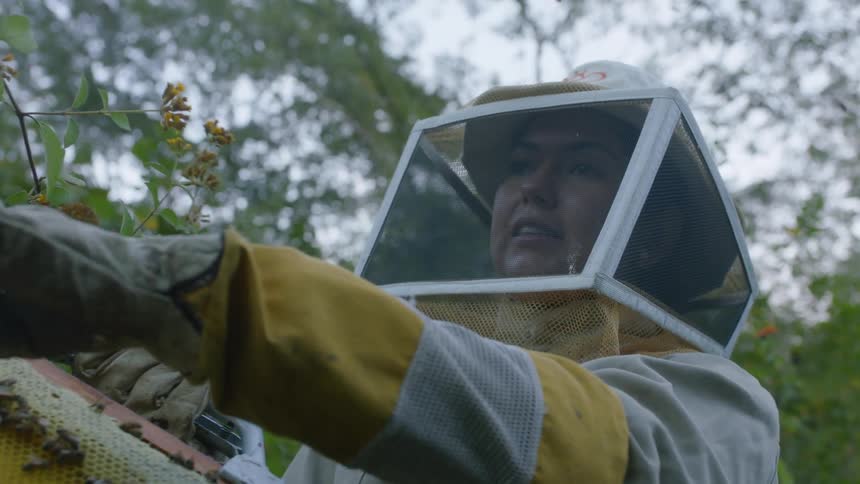 A beekeeper lifts a honey comb up