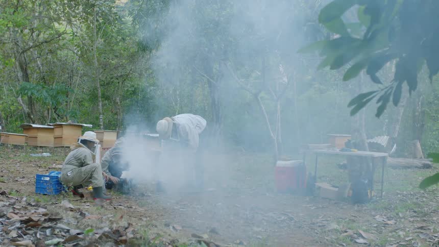 Three beekeepers smoke out the apiary