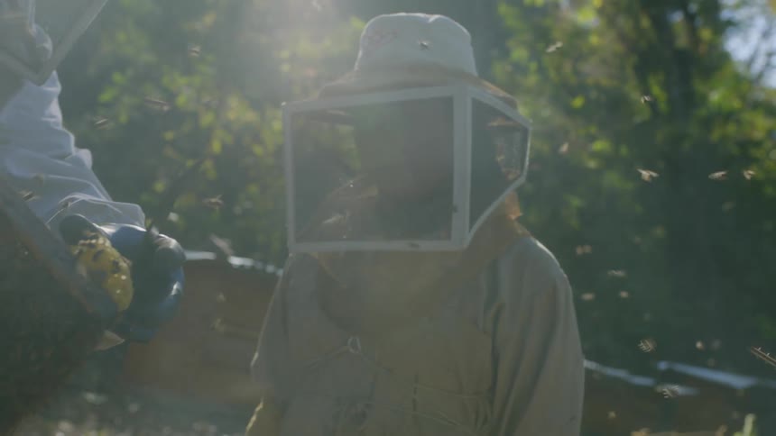 Beekeepers use smoke to check on bees in their hives