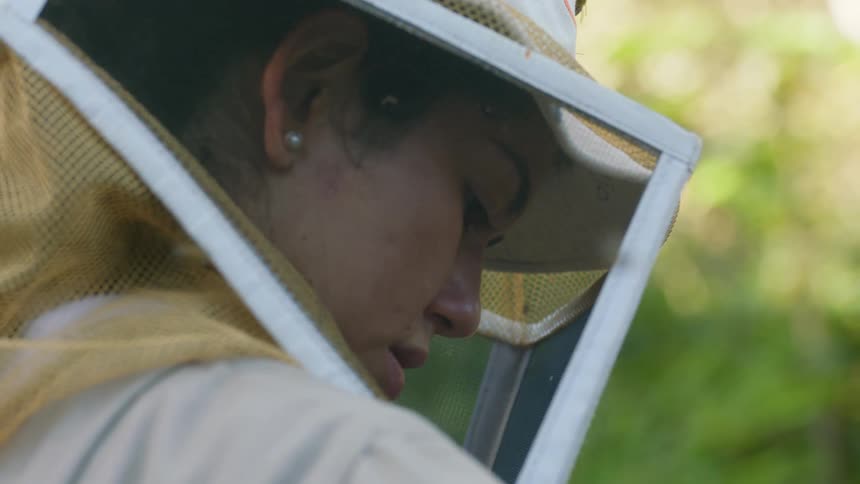 A beekeeper is working outside