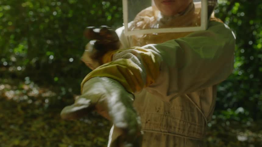 Beekeeper puts on gloves as she stands in clearing with smoke rising