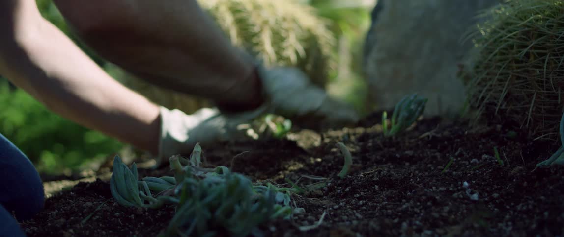 A person planting plants outdoors