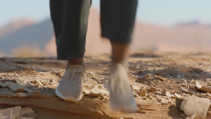 Walking through the desert