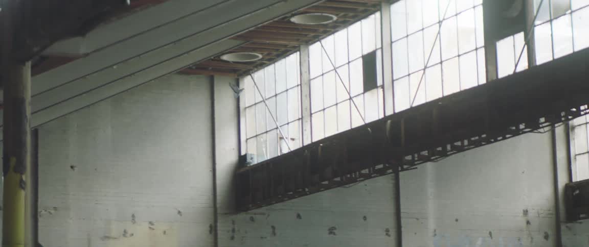 Pigeons fly in the abandoned warehouse