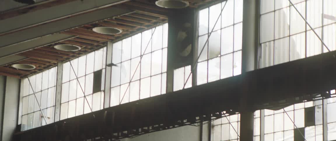 A bird flies back and forth in a factory