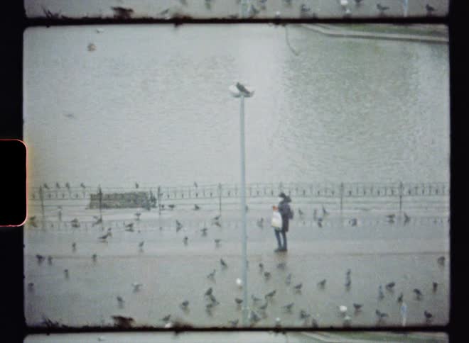 Person walks along pathway bordering water and through a flock of pigeons