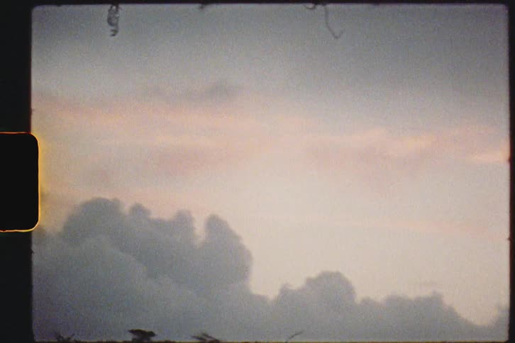 Film footage of a forest at dusk is displayed