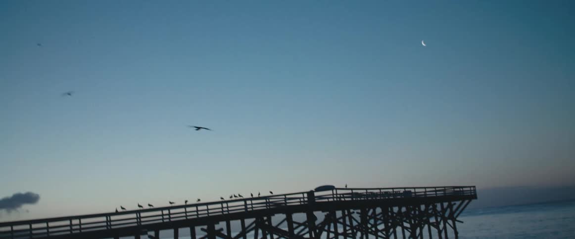 Two silhouettes walk out of the ocean as a bird flies over head between the moon and the red tinted horizon
