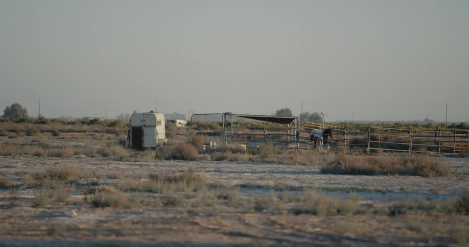 A horse walks around a corral in a grassland during the day